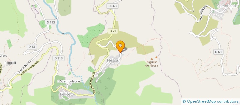 localisation de l'entreprise DOMAINE DU REGINU à FELICETO