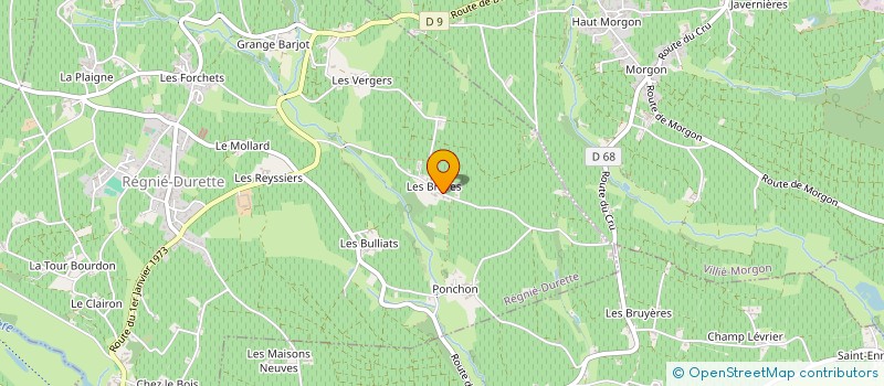 localisation de l'entreprise DOMAINE DUTHEL PERE ET FILS  REGNIE-DURETTE