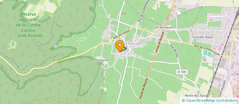 localisation de l'entreprise DOMAINE ESMONIN-BOICHARD  GEVREY-CHAMBERTIN