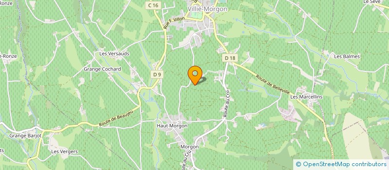 localisation de l'entreprise DOMAINE GAGET  VILLIE MORGON