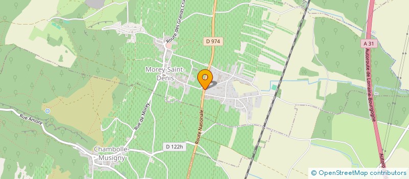 localisation de l'entreprise DOMAINE GERARD PEIRAZEAU ET FILS à MOREY-SAINT-DENIS