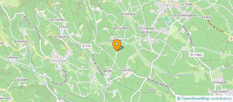 localisation de l'entreprise DOMAINE LAFARGE VIAL à FLEURIE