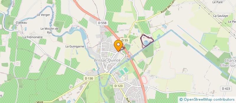 localisation de l'entreprise DOMAINE LOIZEAU à BRISSAC LOIRE AUBANCE