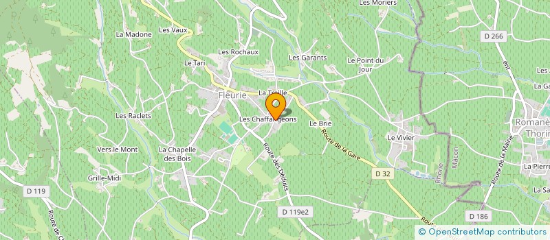 localisation de l'entreprise DOMAINE MARC DELIENNE à FLEURIE