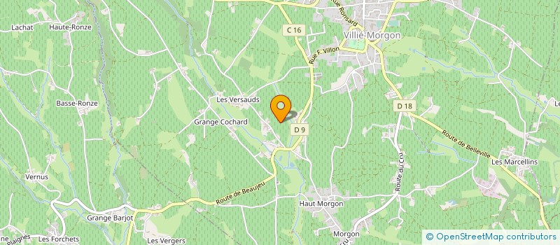localisation de l'entreprise DOMAINE POULARD à VILLIE-MORGON