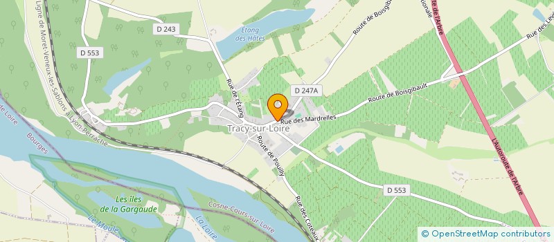 localisation de l'entreprise DOMAINE SERGE SERAFINI à TRACY-SUR-LOIRE