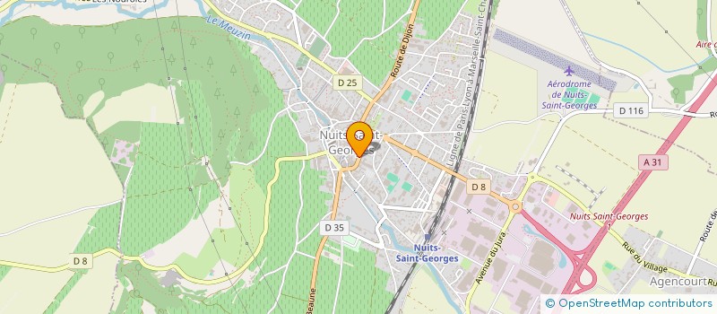 localisation de l'entreprise DOMAINE THIBAULT LIGER-BELAIR à NUITS-SAINT-GEORGES