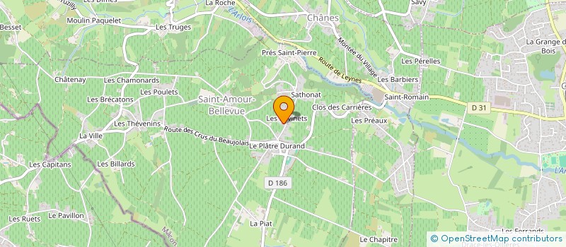 localisation de l'entreprise DOMAINE YOANN GONNACHON à SAINT-AMOUR-BELLEVUE