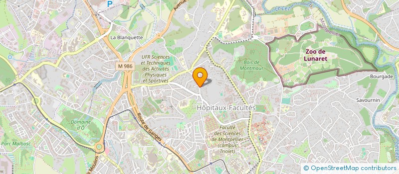 localisation de l'entreprise DOMAINE ZEN à MONTPELLIER