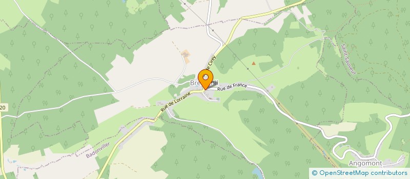 localisation de l'entreprise DOMANNE  BREMENIL