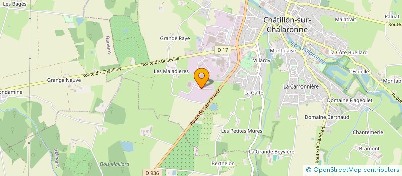 localisation de l'entreprise DOMBES ESPACES VERTS à CHATILLON-SUR-CHALARONNE