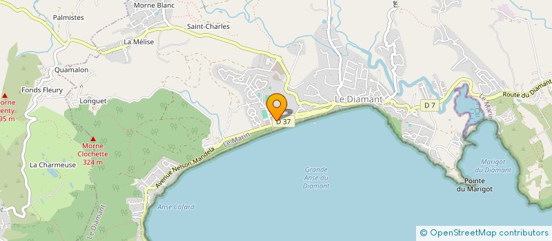 localisation de l'entreprise DOMENJOUD  DIAMANT