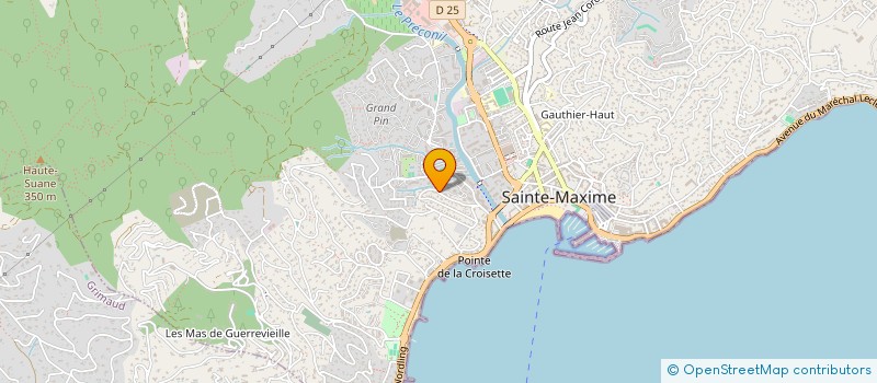 localisation de l'entreprise DOMICELI à SAINTE-MAXIME