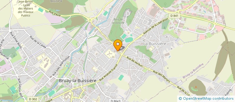 localisation de l'entreprise DOMINIQUE VIVIER AUTOMOBILES à BRUAY-LA-BUISSIERE