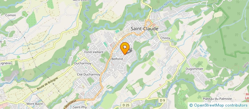localisation de l'entreprise DOMINO à SAINT-CLAUDE