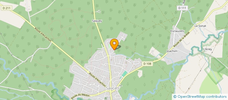 localisation de l'entreprise DOMINO  SAUCATS