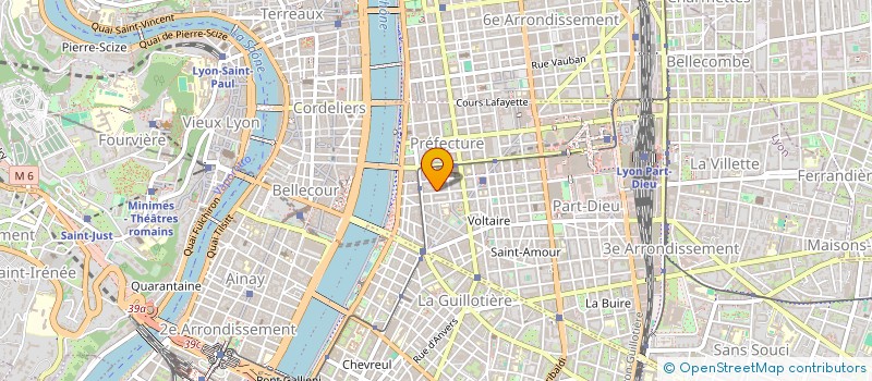 localisation de l'entreprise DOMINO SERVICES EST  LYON