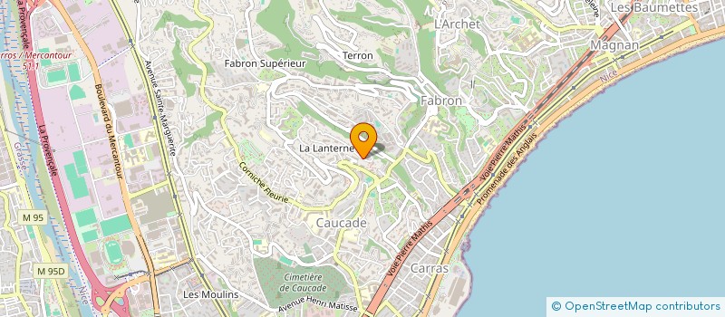localisation de l'entreprise DOMOTIC NETWORK SYSTEMS à NICE