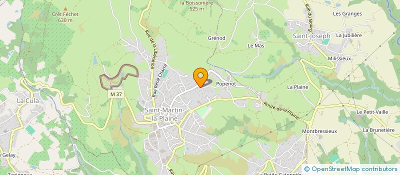 localisation de l'entreprise DOMOTIZZ à SAINT-MARTIN-LA-PLAINE