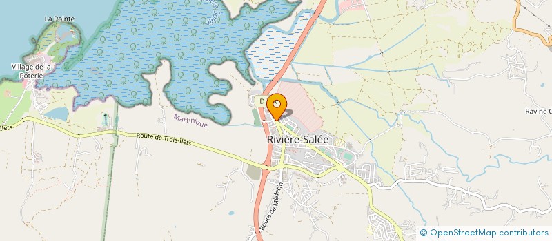 localisation de l'entreprise DOMSPOT à RIVIERE SALEE