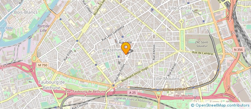 localisation de l'entreprise DOMUS CONSEIL à LILLE