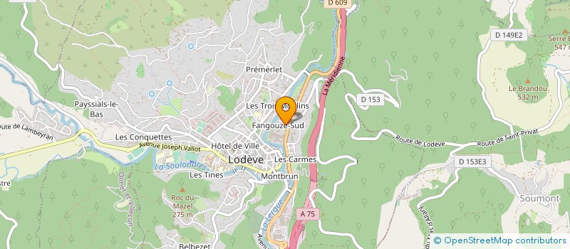 localisation de l'entreprise DOMUS II  LODEVE