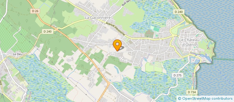 localisation de l'entreprise DONKE SABALI  LE CHATEAU-D'OLERON