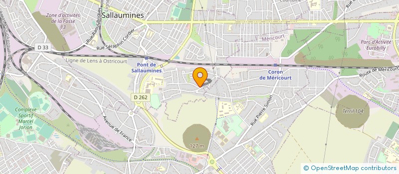 localisation de l'entreprise DONSKOY FOR EVER  SALLAUMINES