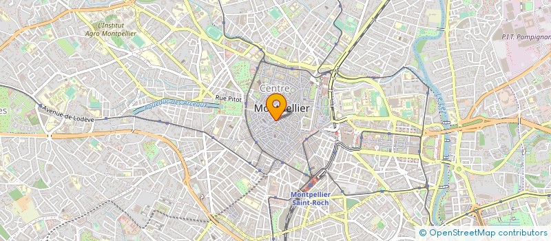 localisation de l'entreprise DOPHINVEST à MONTPELLIER