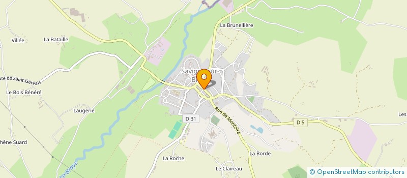 localisation de l'entreprise DORE BATIMENT SERVICES  SAVIGNY-SUR-BRAYE