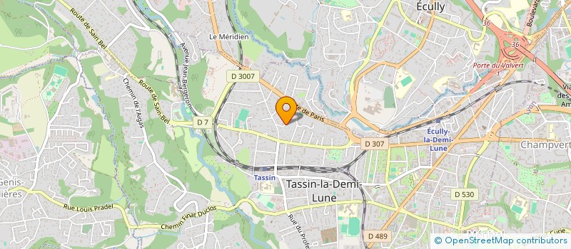 localisation de l'entreprise DOUDMAN CONSEIL à TASSIN-LA-DEMI-LUNE