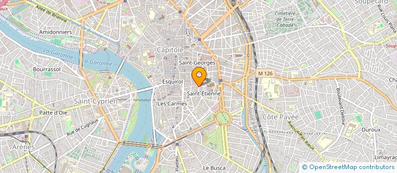 localisation de l'entreprise DOUDOU SERVICES  TOULOUSE