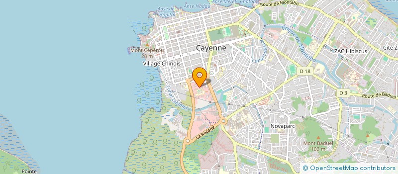 localisation de l'entreprise DOUGLAS ELEC  CAYENNE