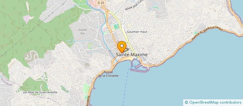 localisation de l'entreprise DP à SAINTE-MAXIME