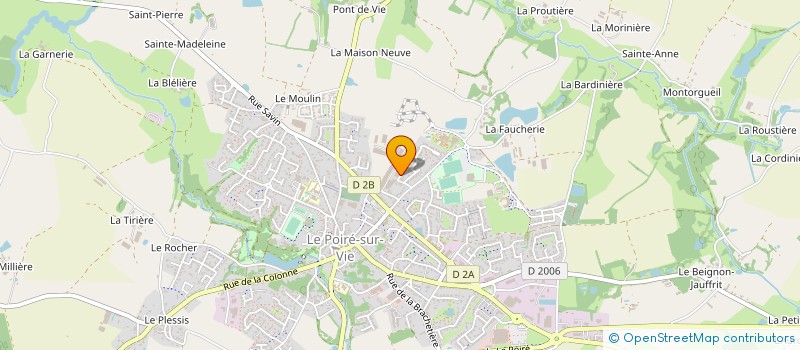 localisation de l'entreprise DP FLEX à LE POIRE-SUR-VIE