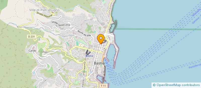 localisation de l'entreprise DPL INVESTISSEMENTS à BASTIA