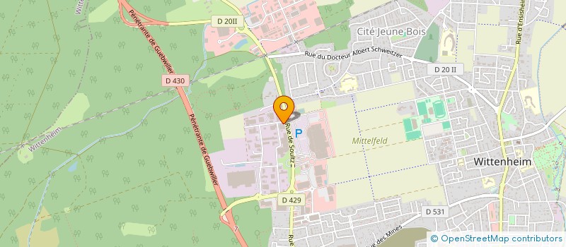 localisation de l'entreprise DPS MULHOUSE  WITTENHEIM