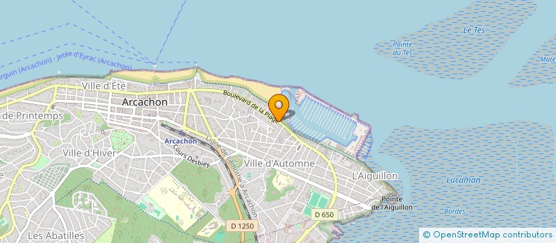 localisation de l'entreprise DR AMOUR  ARCACHON