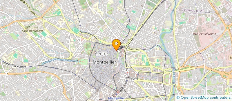 localisation de l'entreprise DR BRIGITTE POINTUD BRESSSON à MONTPELLIER