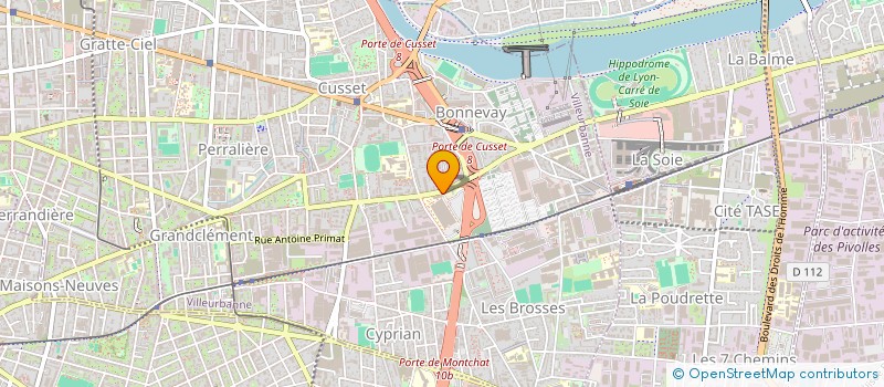 localisation de l'entreprise DR REGAL OLIVIER  VILLEURBANNE