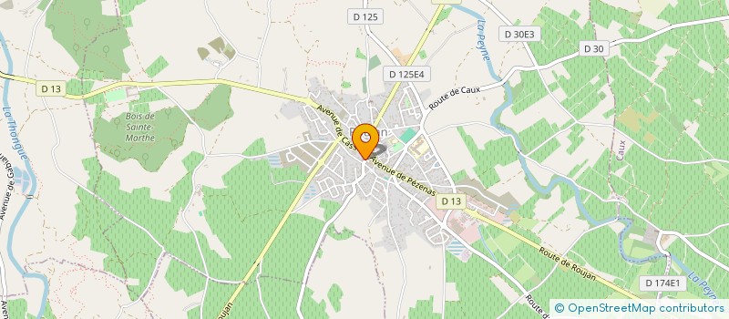 localisation de l'entreprise DRAGONS OF THE SOUTH LOTUS  ROUJAN