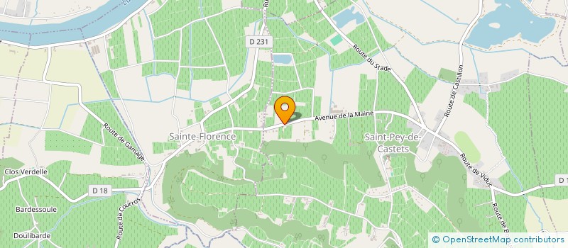 localisation de l'entreprise DRAY IT CONSULTING  SAINT-PEY-DE-CASTETS