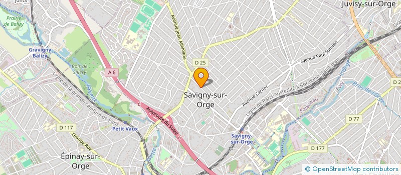 localisation de l'entreprise DREALS CARE  SAVIGNY-SUR-ORGE