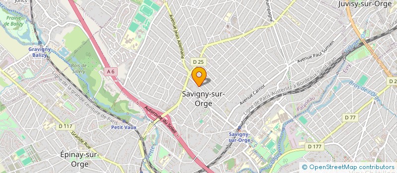 localisation de l'entreprise DREALS PARIS à SAVIGNY-SUR-ORGE