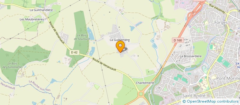 localisation de l'entreprise DREAMBOAT  LA ROCHE-SUR-YON