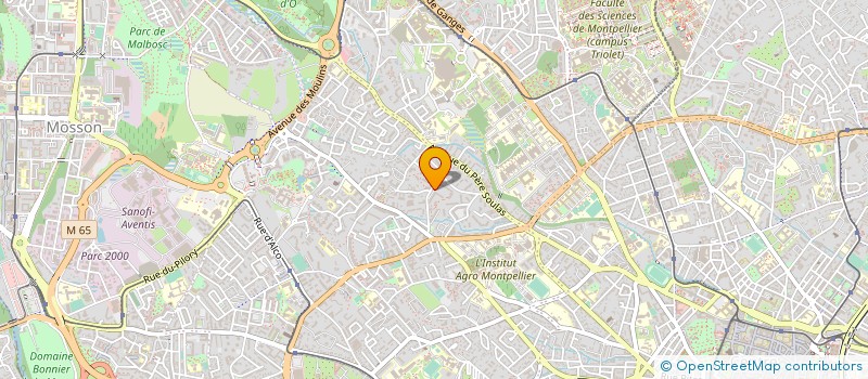localisation de l'entreprise DREAMFORUSTOURISM  MONTPELLIER