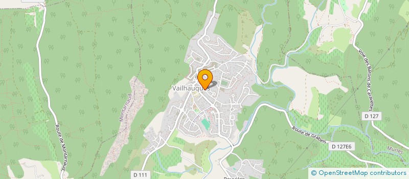 localisation de l'entreprise DRINK DRANK DANCE  VAILHAUQUES