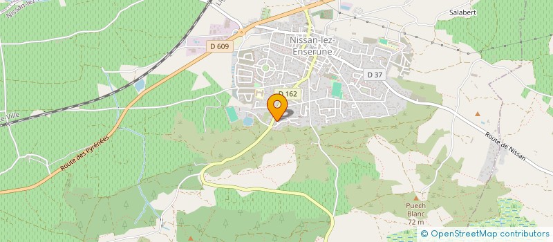 localisation de l'entreprise DRISTEEL  NISSAN-LEZ-ENSERUNE