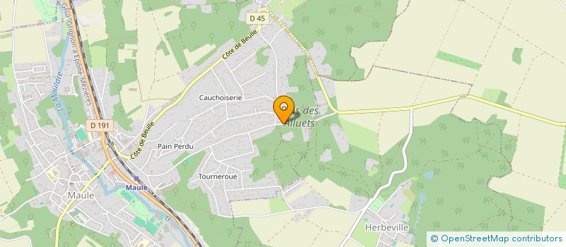 localisation de l'entreprise DRIVE IN  MAULE