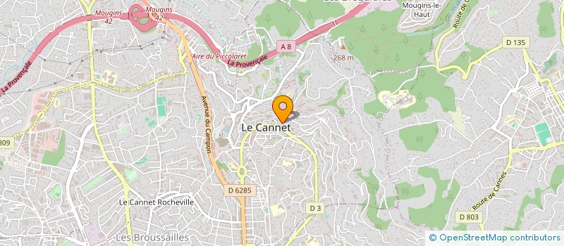 localisation de l'entreprise DRIVE MY CAR à LE CANNET